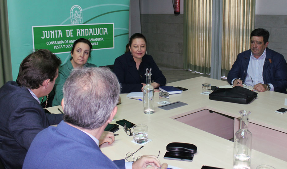 Carmen Crespo, durante la primera reunión del grupo de trabajo técnico previo a la constitución de la mesa de simplificación de trámites burocráticos.
